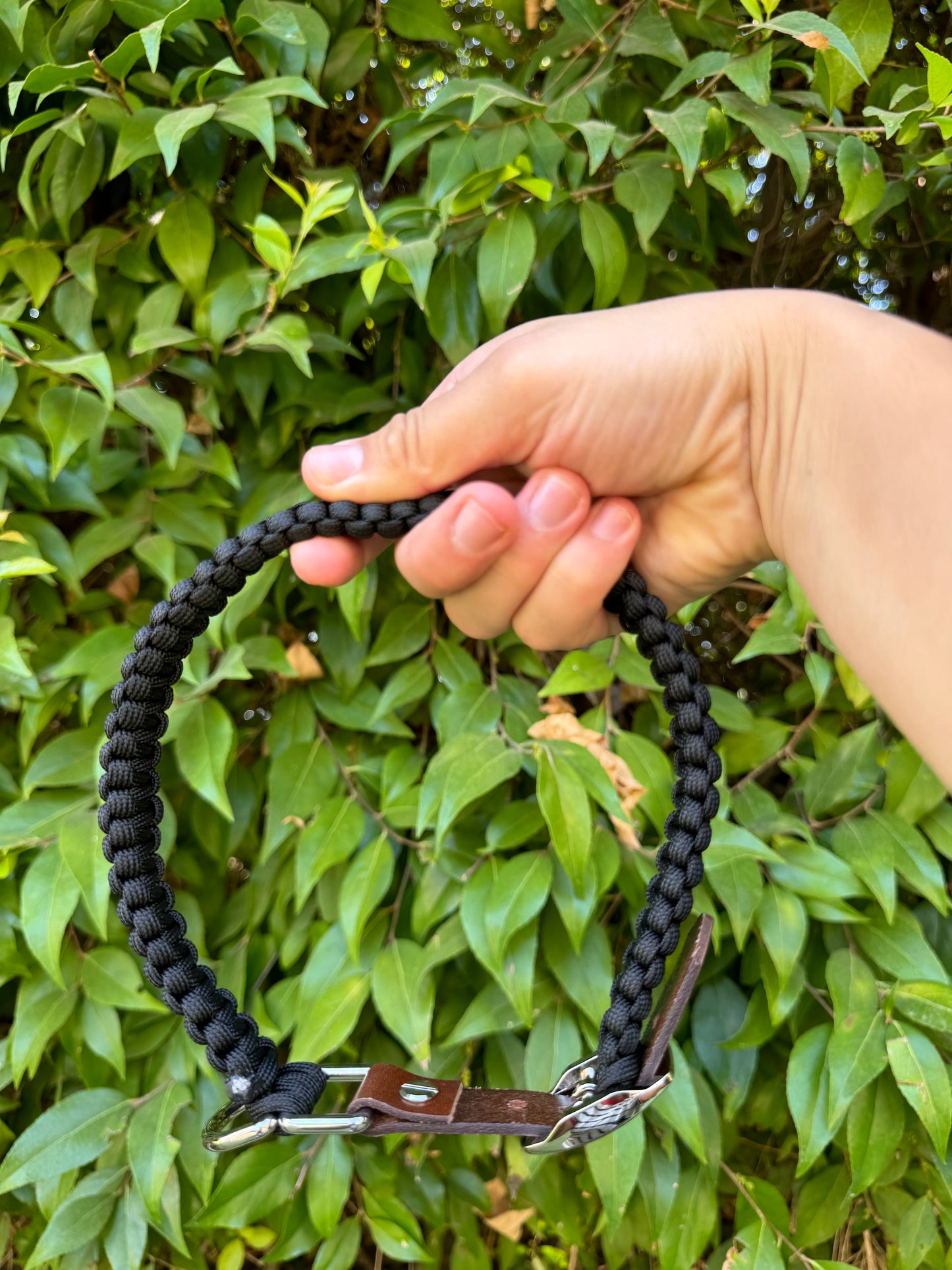 Midnight all black collar