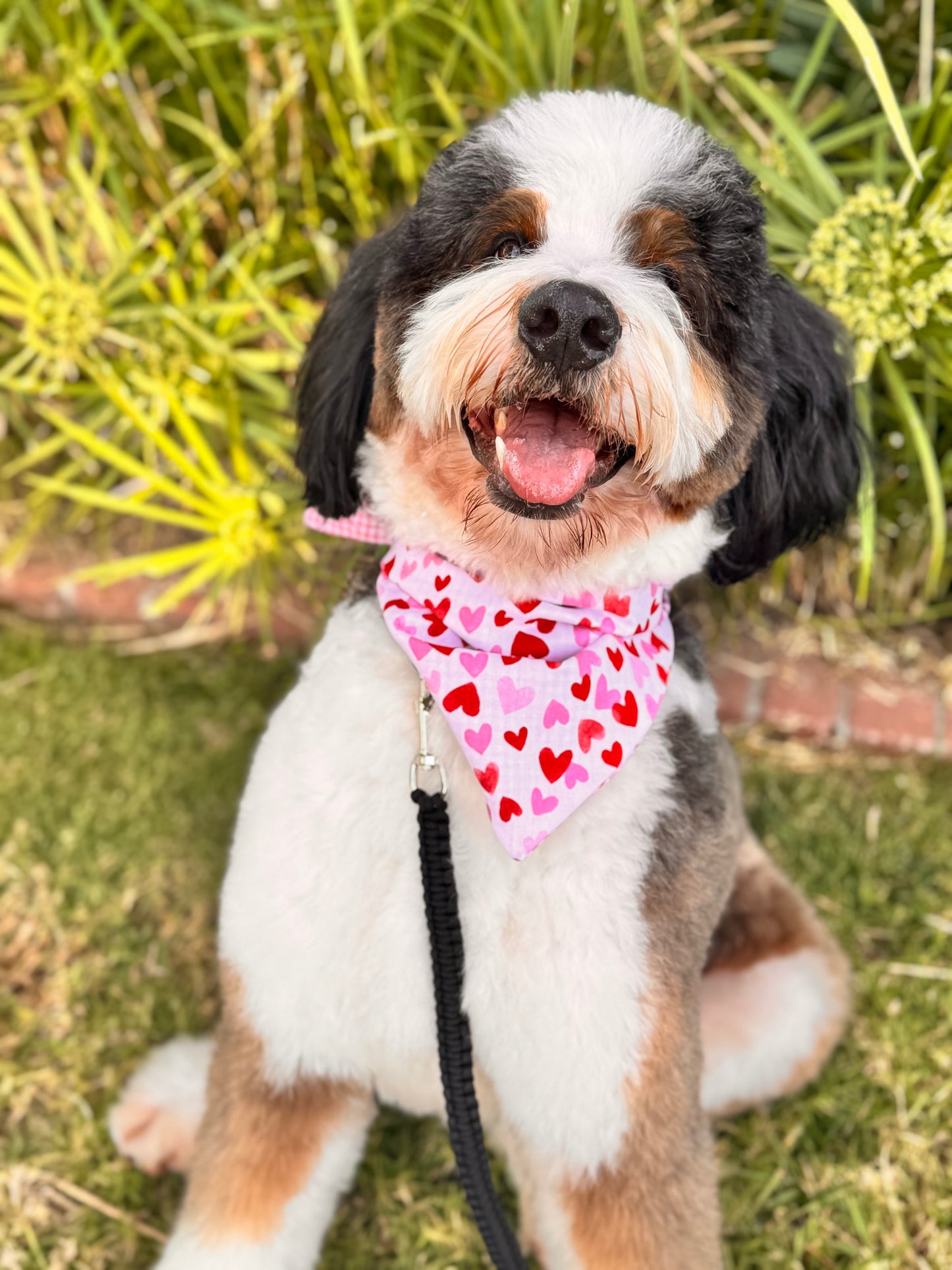 Puppy love Bandanna