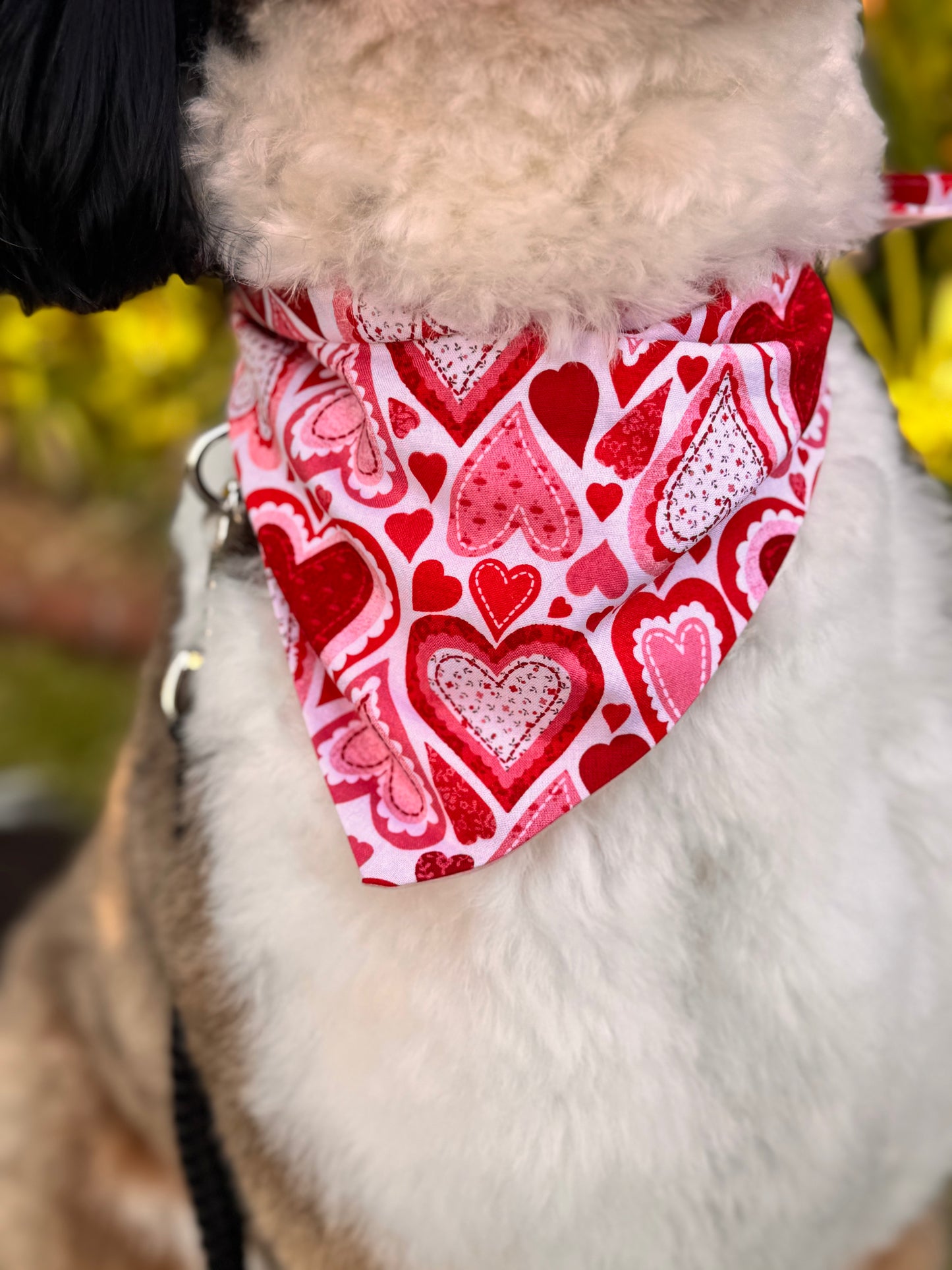 Be Mine Bandanna
