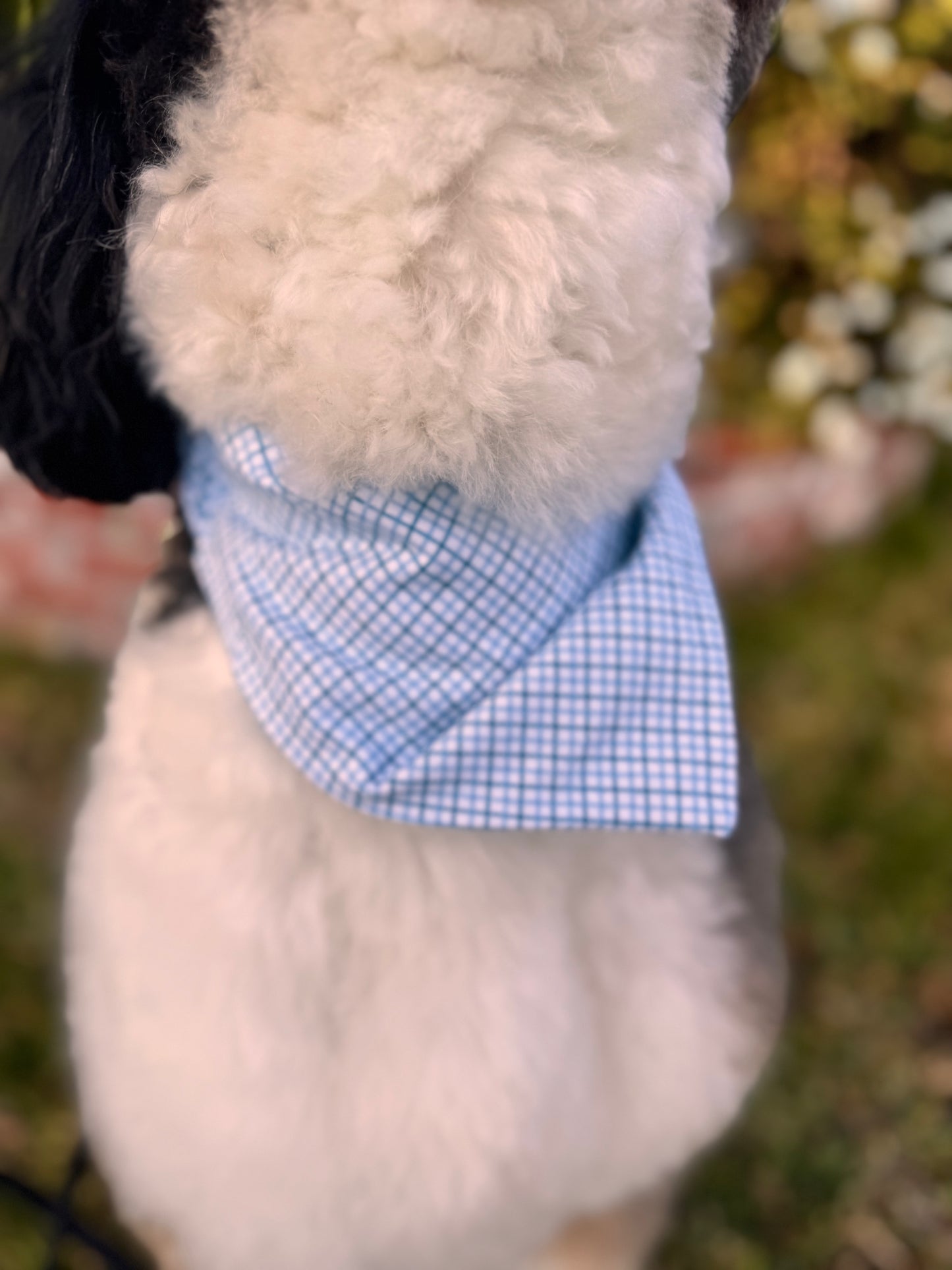 Bluey Bandanna