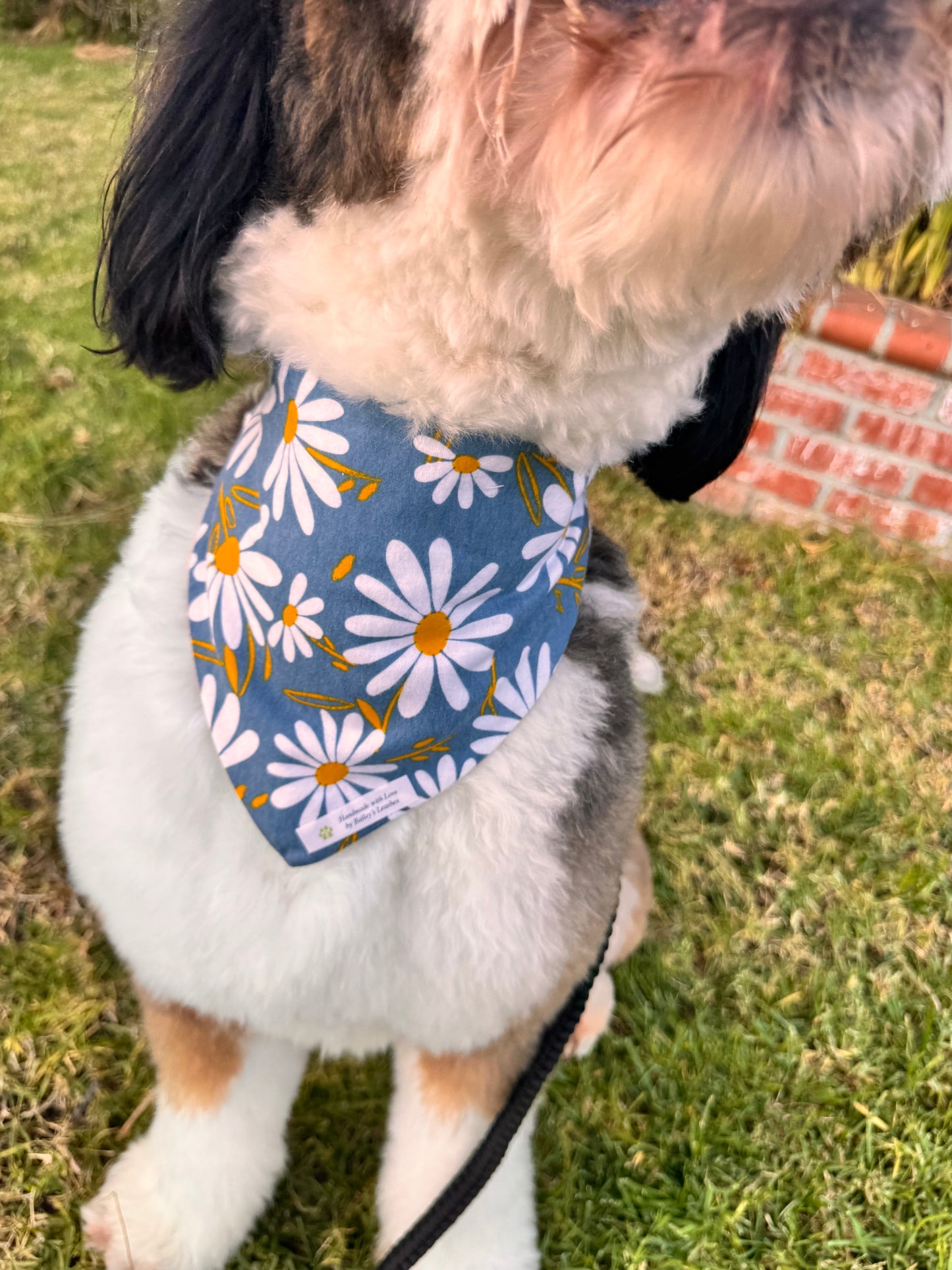 Daisy Bandanna