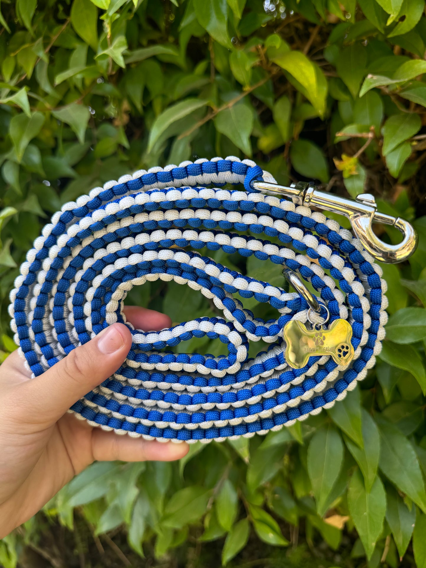 Loyal Blue and white 6ft leash