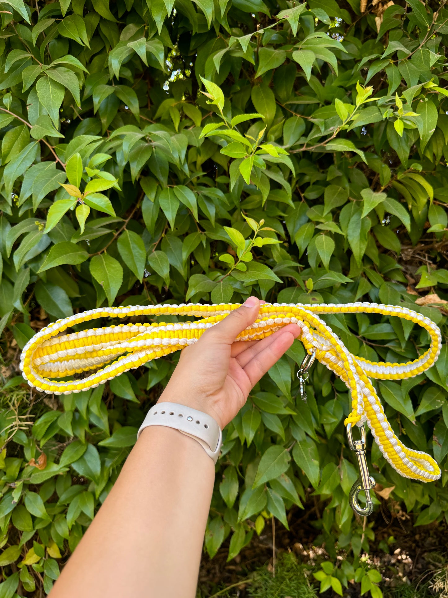 Lemon Meringue yellow and white 6ft leash