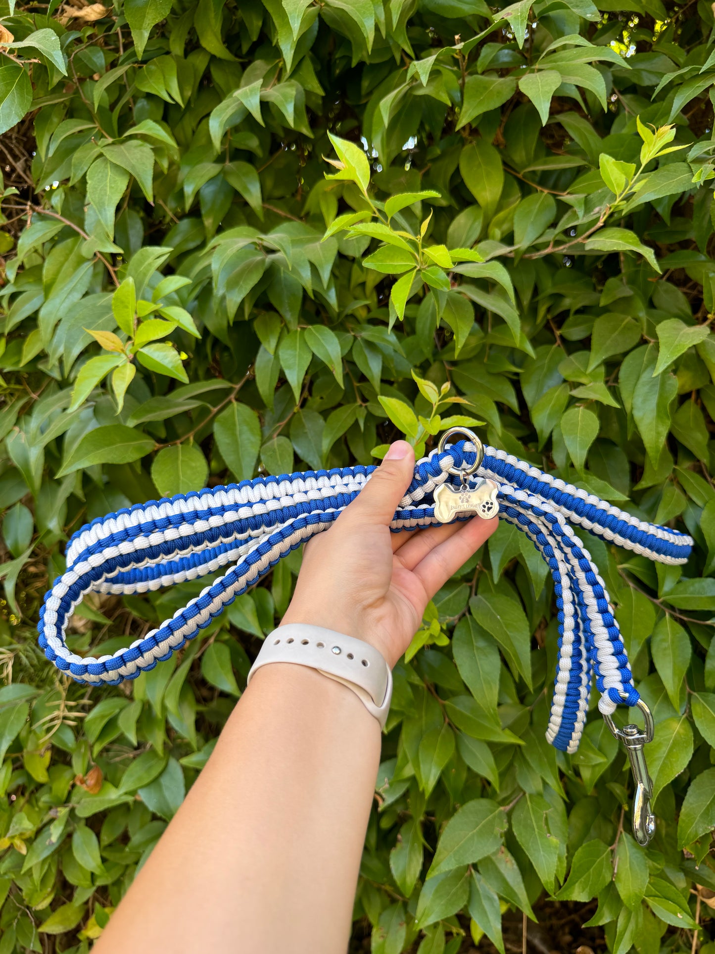 Loyal Blue and white 6ft leash