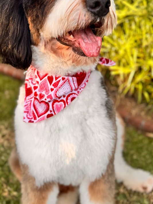 Be Mine Bandanna