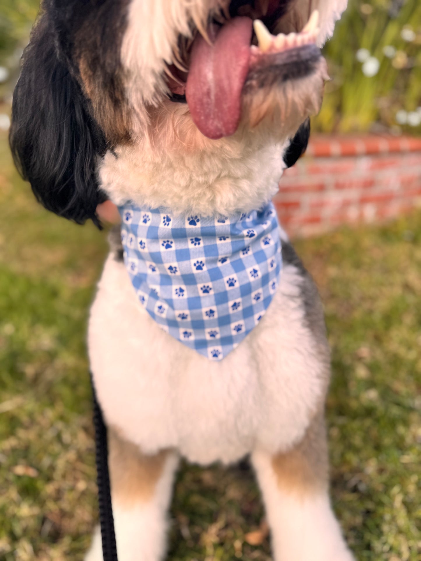 Paws & Picnics Reversible Bandanas