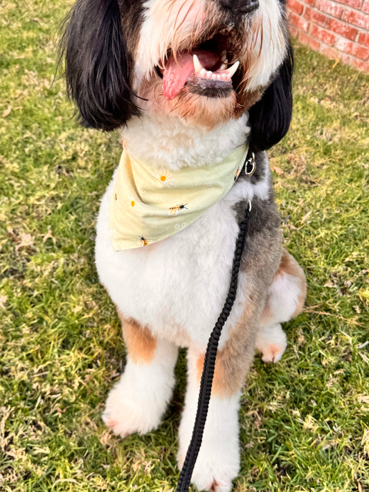 Bee Happy Pup Reversible Bandana
